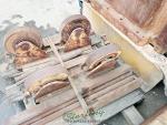used giddings & lewis horizontal boring mill (table type) parts machine only!350T